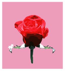 Gif-animado-Flor-34.gif