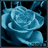 Rosas-09.gif
