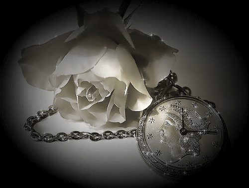 Rosas-102.gif