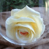 Rosas-13.gif