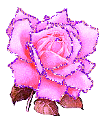 Rosas-17.gif