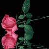 Rosas-23.gif