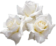 Rosas-34.gif