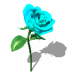 Rosas-36.gif