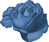Rosas-38.gif
