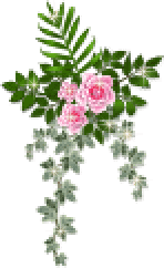 Rosas-41.gif