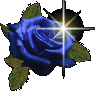 Rosas-45.gif