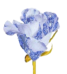 Rosas-47.gif