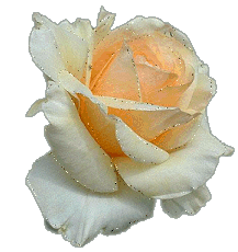 Rosas-48.gif