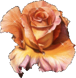 Rosas-57.gif