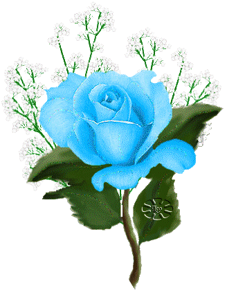 Rosas-65.gif