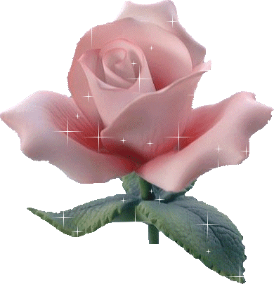 Rosas-71.gif