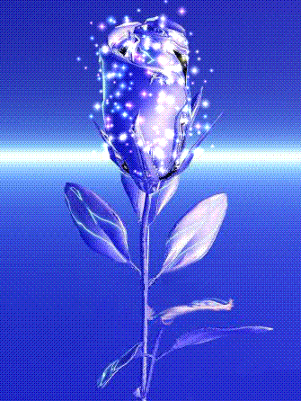 Rosas-73.gif