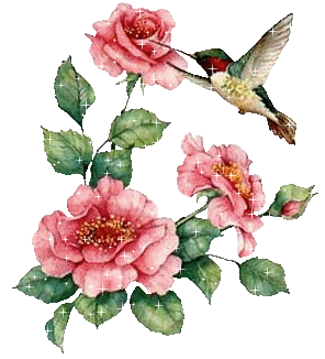 Rosas-77.gif