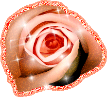 Rosas-78.gif