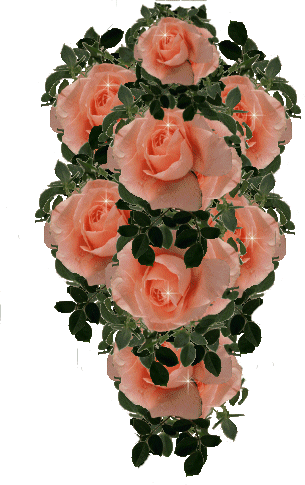 Rosas-79.gif