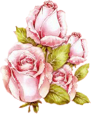 Rosas-82.gif