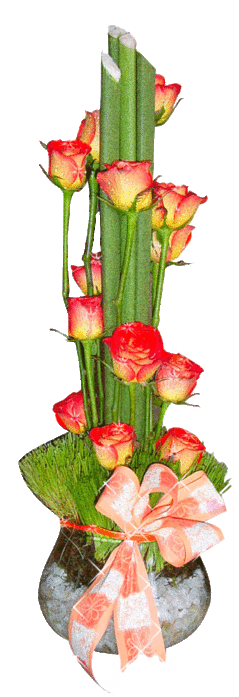 Rosas-95.gif