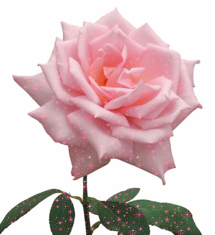 Rosas-97.gif