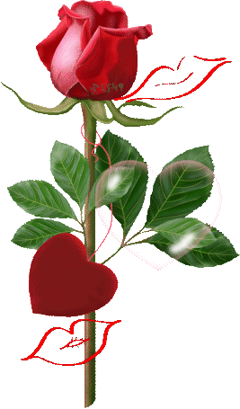 Rosas-rojas-90.gif