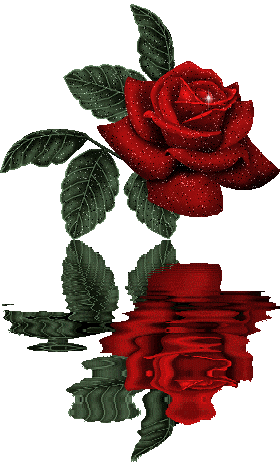 Rosas-rojas-91.gif