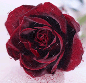Rosas-rojas-92.gif