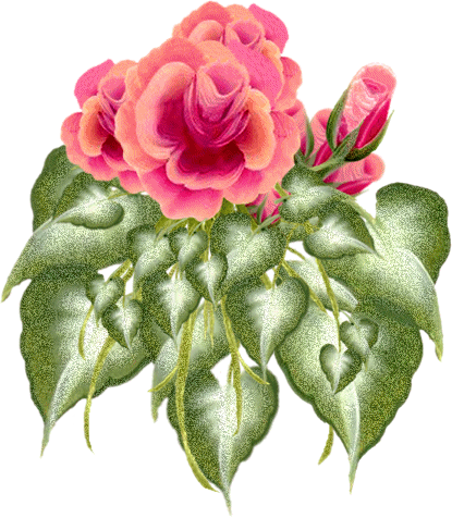 Rosas-rojas-95.gif