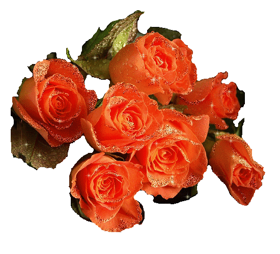 Rosas-rojas-97.gif