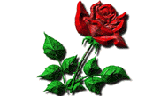 Gif-animado-Sant-Jordi-08.gif