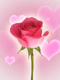 Gif-animado-Sant-Jordi-16.gif