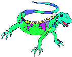 Camaleon-03.gif