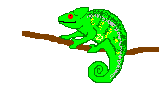Camaleon-06.gif