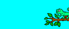 Camaleon-07.gif
