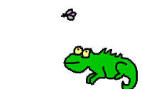 Camaleon-08.gif