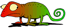 Camaleon-10.gif