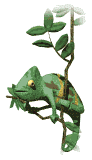 Camaleon-11.gif