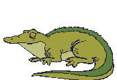 Cocodrilo-05.gif