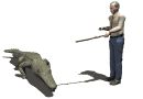 Cocodrilo-37.gif