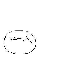 Cocodrilo-44.gif