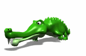 Cocodrilo-47.gif