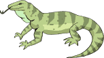 Dragon-de-Komodo-07.gif