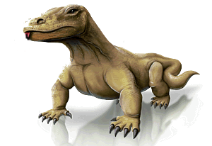 Dragon-de-Komodo-09.gif