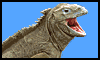 Iguana-02.gif