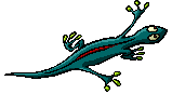 Lagarto-03.gif