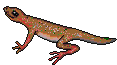Lagarto-09.gif