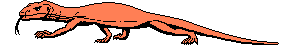 Lagarto-11.gif