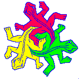 Lagarto-12.gif