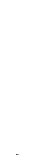 Lagarto-14.gif