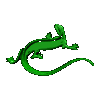 Lagarto-15.gif
