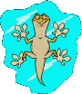 Lagarto-16.gif